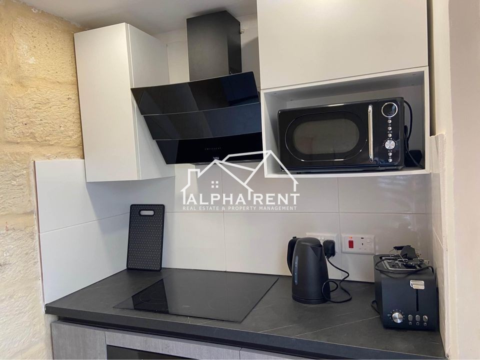 Residential Rent Apartments in Sliema - 4